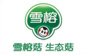 雪（xuě）榕