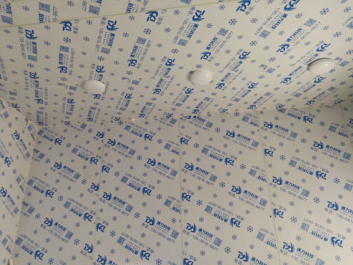 深圳李總蛇口飄雪機（jī）