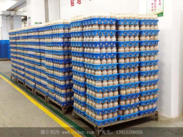 惠州雪榕金（jīn）針菇（gū）培育環境