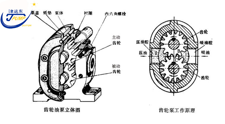 2CG硬齒麵渣油（yóu）泵剖析（xī）圖