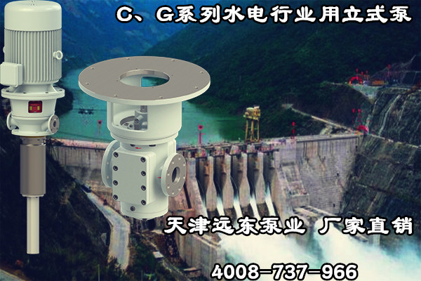 C、G係列水電行業（yè）用（yòng）立式泵（bèng）